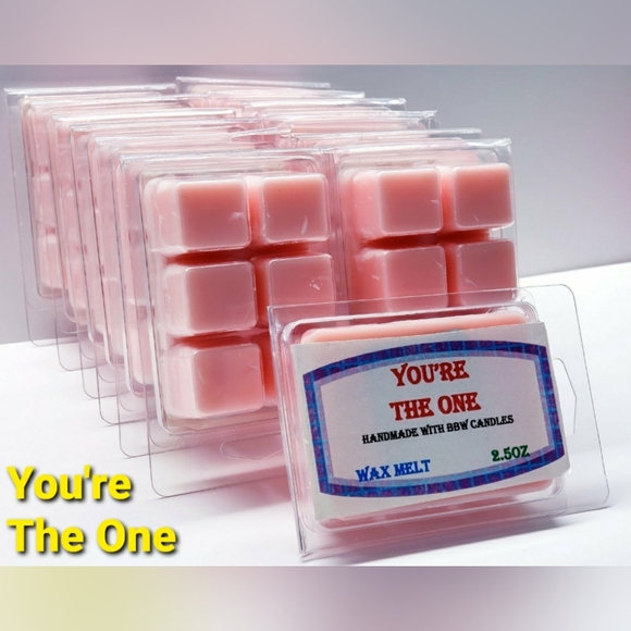 YOU'RE THE ONE -Bath & Body Works Candle Wax Melts- $8 per pack - Picture 1 of 9